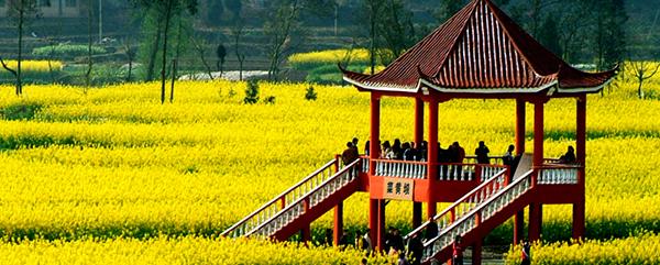 菜黄坝（白沙村主景区）